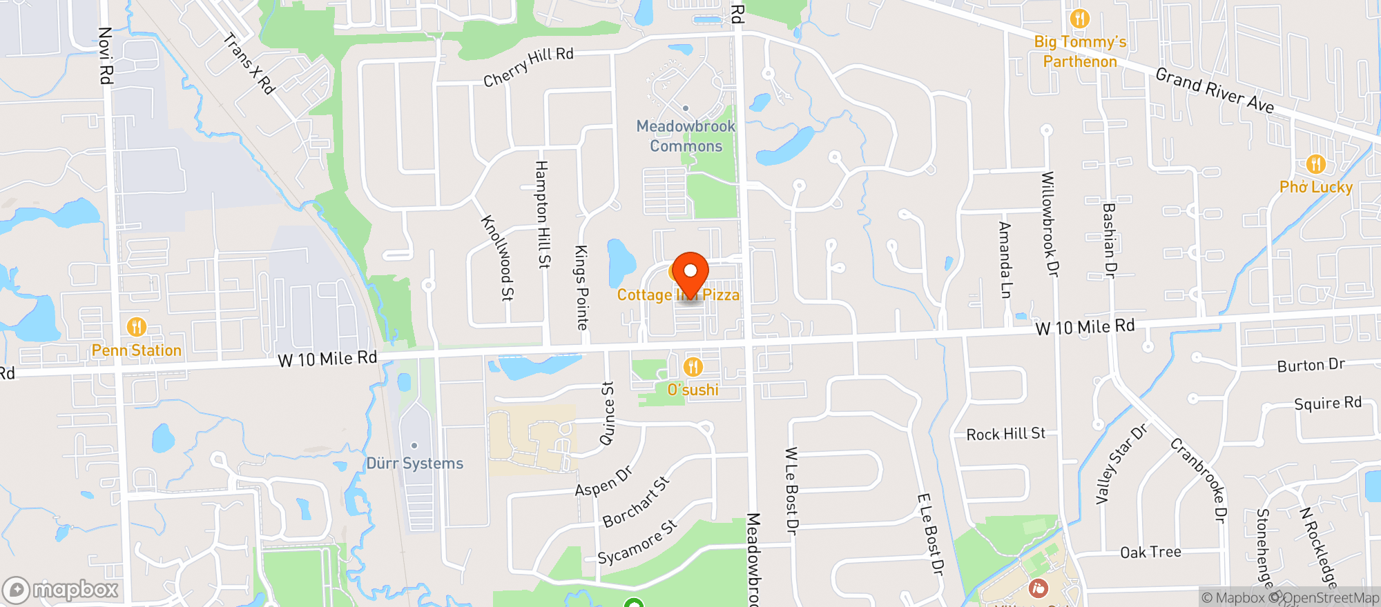 Map showing Busch's - #1205 Novi