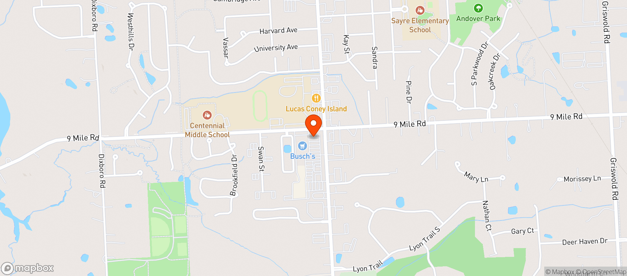 Map showing Busch's - #1201 South Lyon