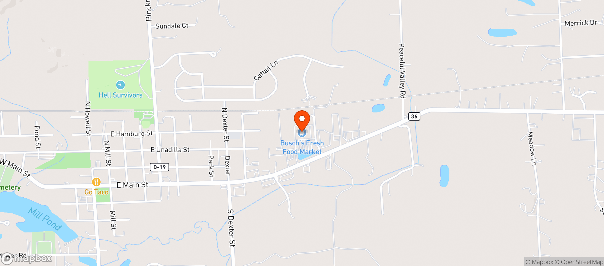Map showing Busch's - #1051 Pinckney