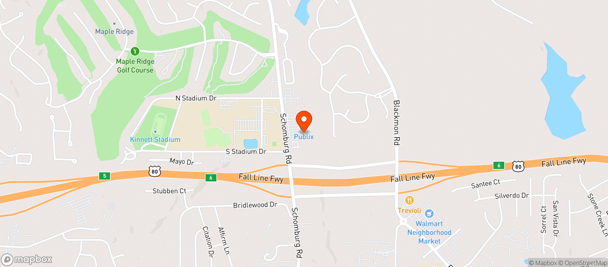 Map showing Publix Super Market #650