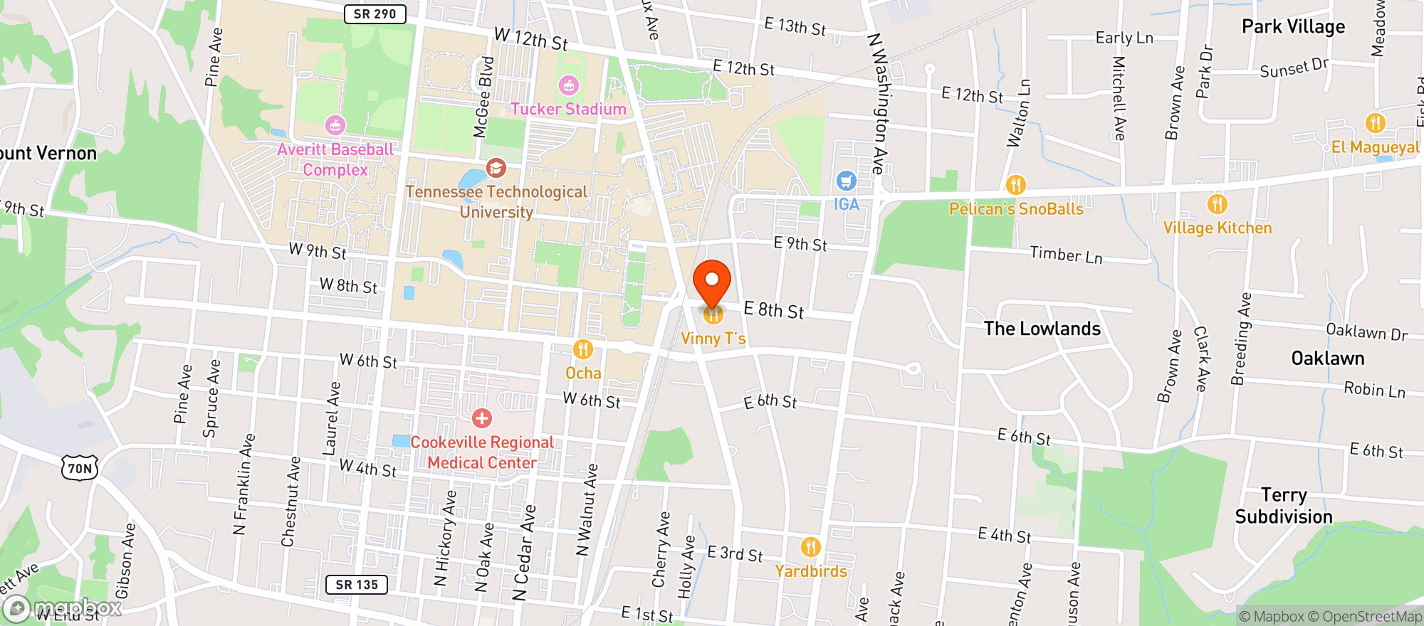Map showing VINNIE TS