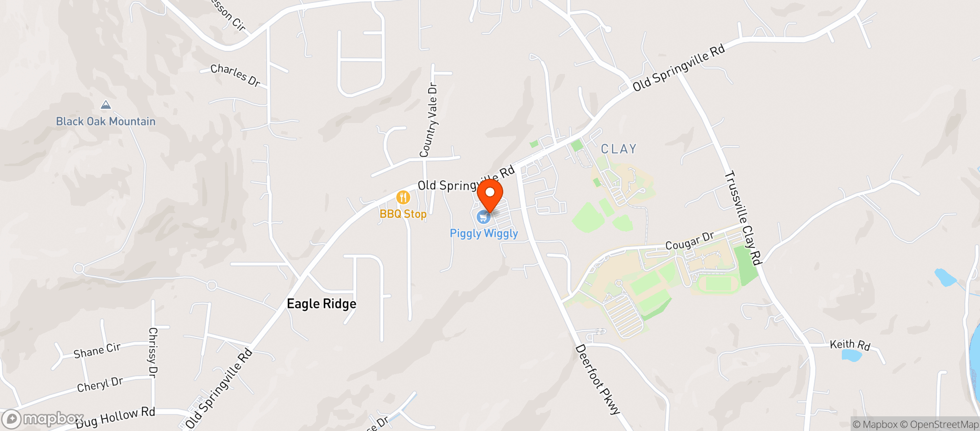 Map showing Piggly Wiggly #295