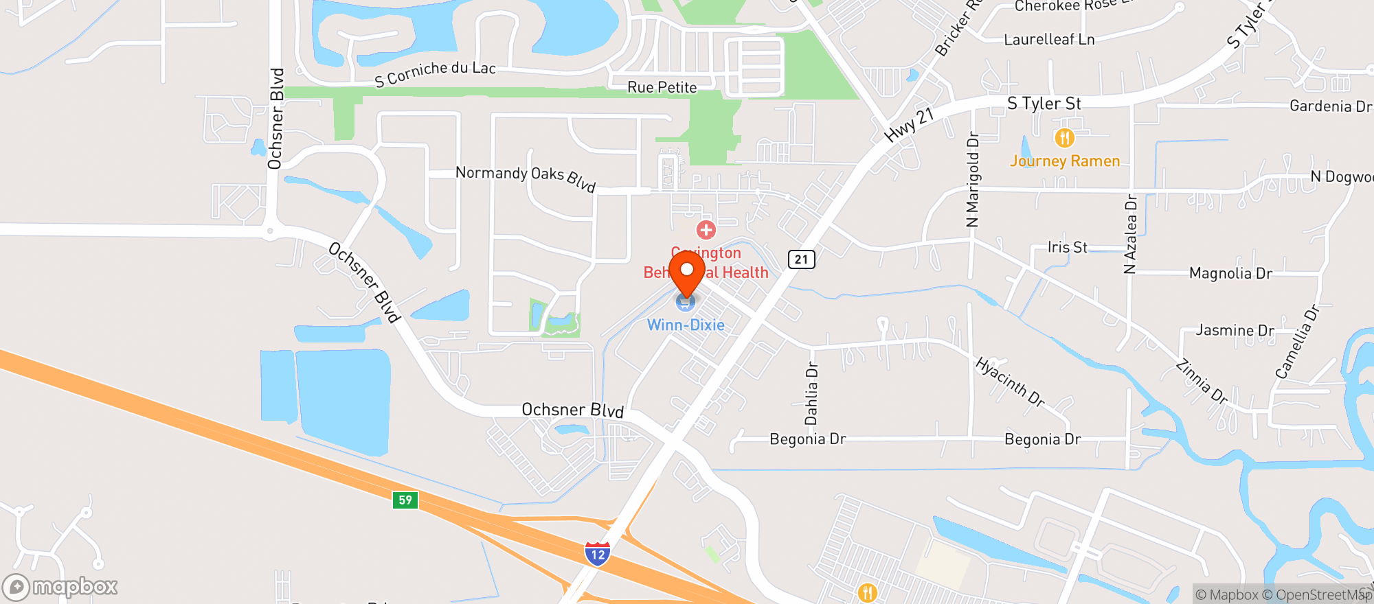 Map showing ROUSES MARKET (COVINGTON)