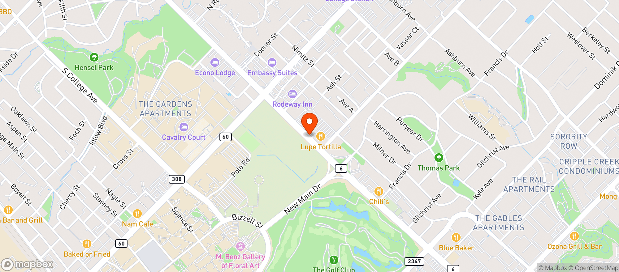 Map showing Lupe Tortilla