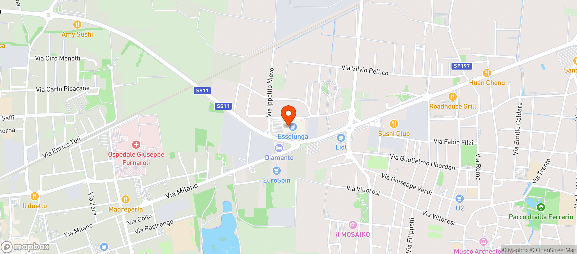 Map showing Esselunga